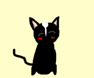 🐘Trunks🐘 profile