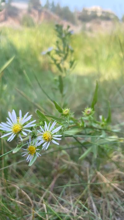 summer_rae.kisses thumbnail