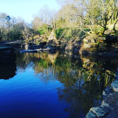 greenthumbpinkflower thumbnail