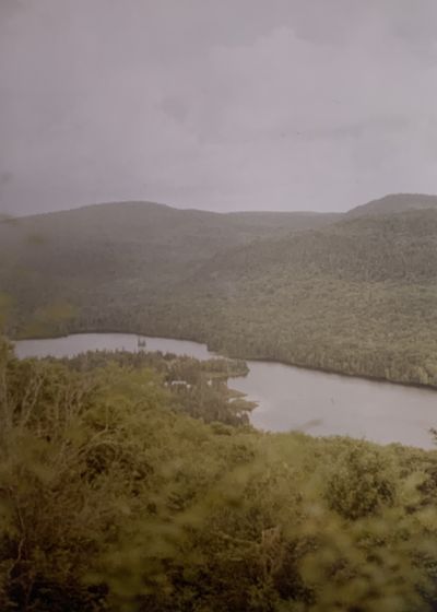 anxious.peach thumbnail