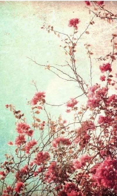 Dirty Angel 😇😚 thumbnail