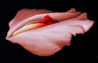 xoxoprincessjayxoxo thumbnail