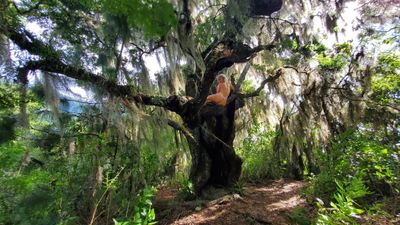 athena.demos thumbnail