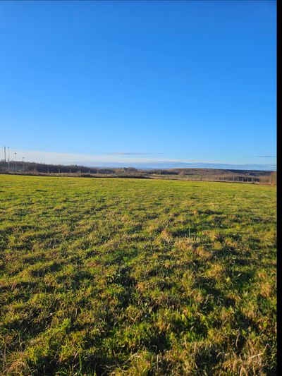 misslittlestar thumbnail