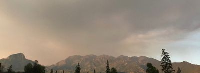 Elora Sage thumbnail