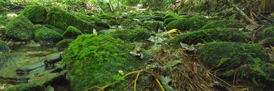 s3ldoms33n2 thumbnail