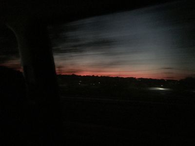 whitebugbunny6 thumbnail