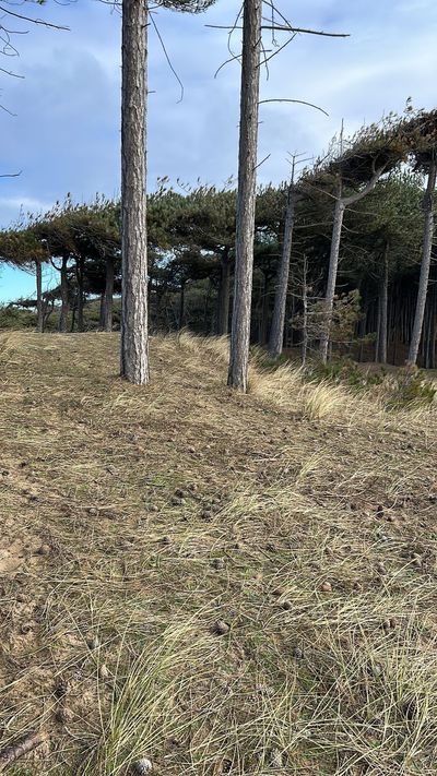 u226670130 thumbnail