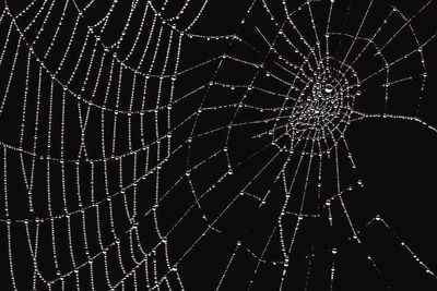 Marissa ♡ thumbnail