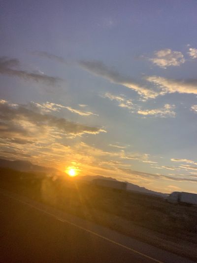 PeacheeNymph thumbnail