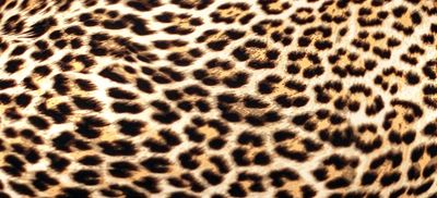 Monica Kash thumbnail