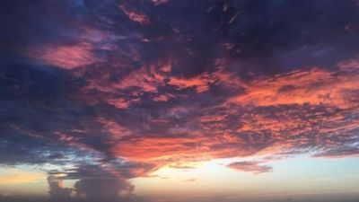 Lil Missy LuLu thumbnail