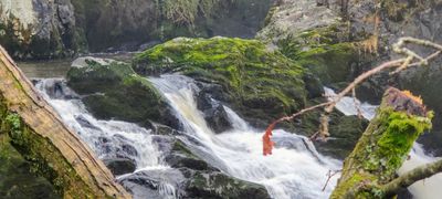 Camping Will profile