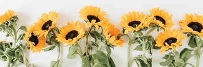 chrissie_1o thumbnail