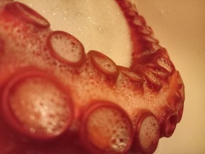 cvmslushie thumbnail