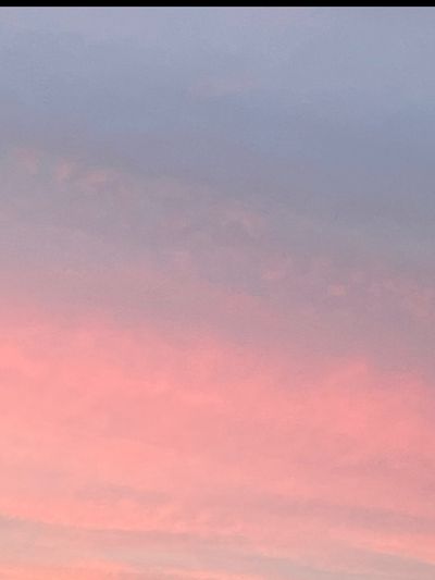 delphineplus1 thumbnail