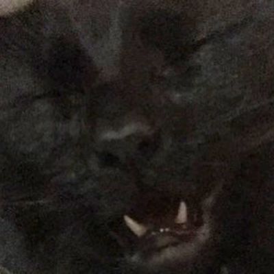 trashysfunhouse profile