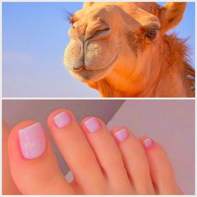 celestelynne90 profile