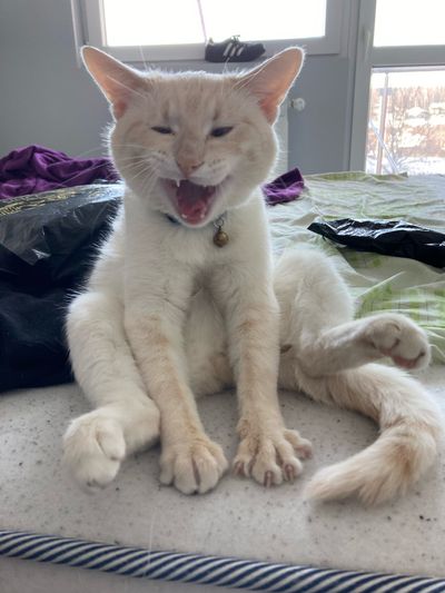 leotheblueyed profile