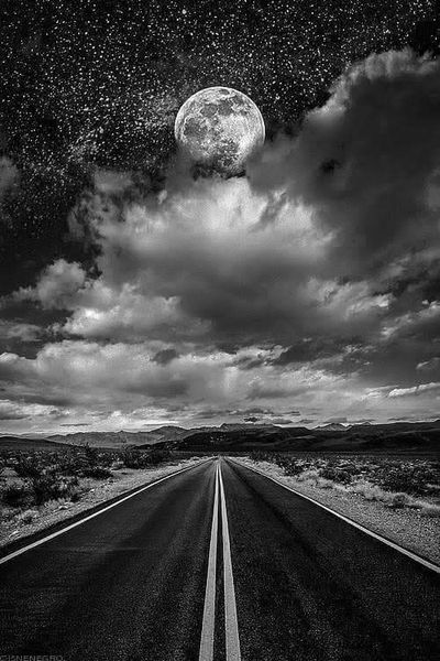 dante_chavez thumbnail