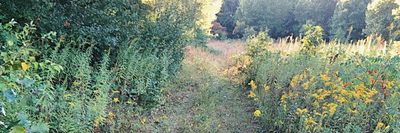 N A T U R E B A B E S thumbnail