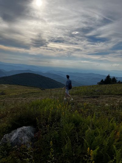 timburtontwink thumbnail