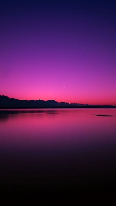 inked-sugar thumbnail