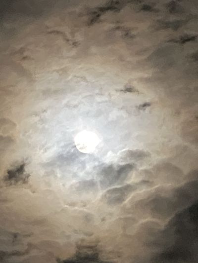 workingbitch thumbnail