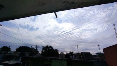 Paloma Martinez thumbnail