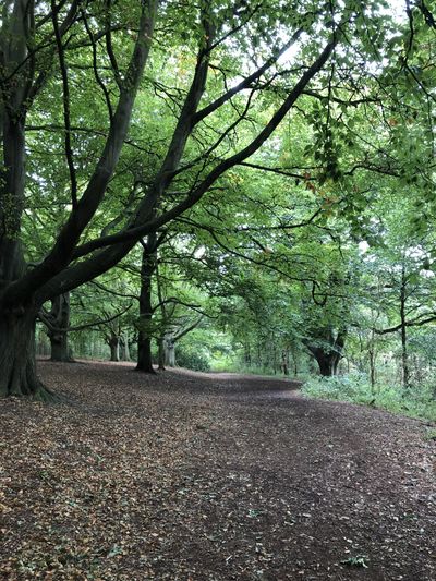 hornyhousewife7 thumbnail