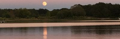 jvkelvnvmvsic thumbnail