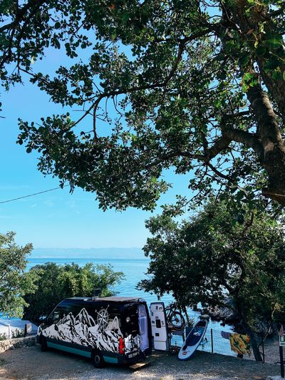 u175455573 thumbnail