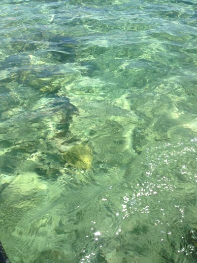 sexyspicyginger thumbnail