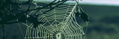 ravenxfriday thumbnail