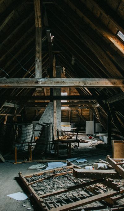 lisa.hbr01 thumbnail