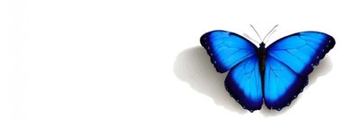 sweetthingsshine thumbnail