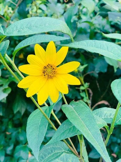 thee.peachie.peach thumbnail