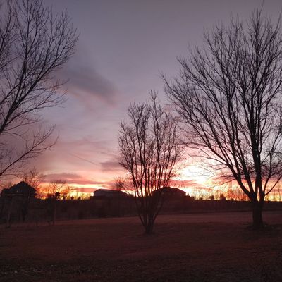 sarapineapple thumbnail