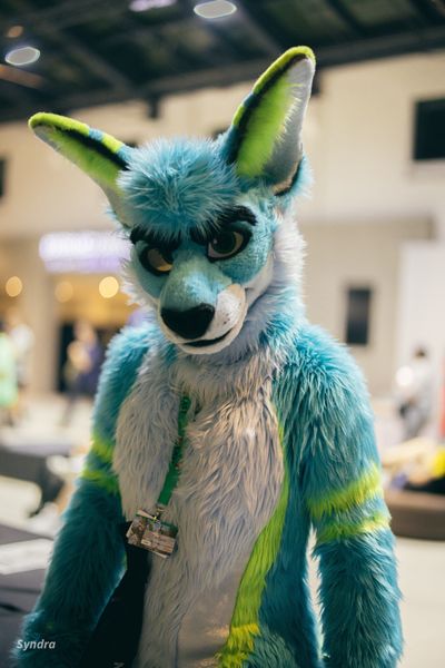 tech_rooad thumbnail