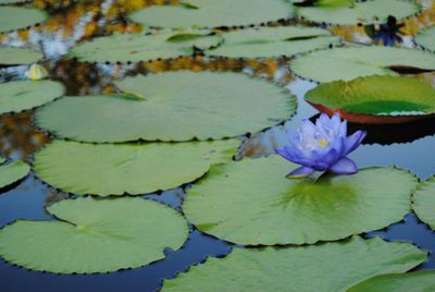 u130294260 thumbnail