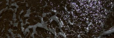 diorbunny888 thumbnail