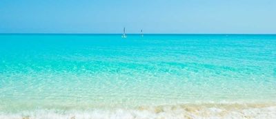 paomontenegro88 thumbnail