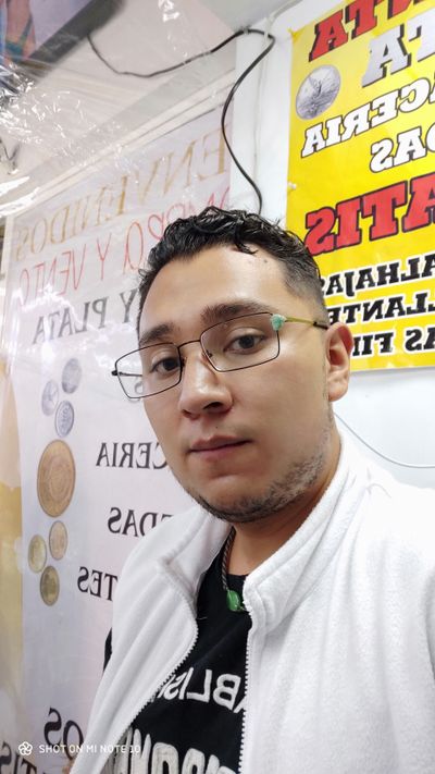 Matt shinoda profile