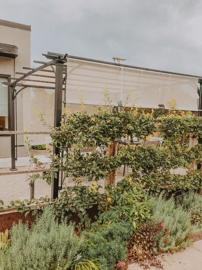 sultrysilas thumbnail