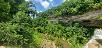 d.e.l.i.c.a.t.e thumbnail