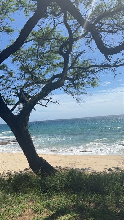 vixenbae00 thumbnail