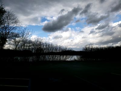 fat_kitten thumbnail