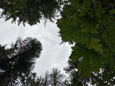 dariusdejion thumbnail