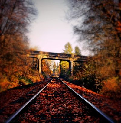 chaotic-cutie thumbnail