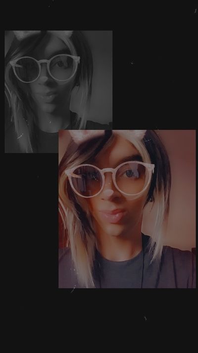 lexi_the_kitty profile